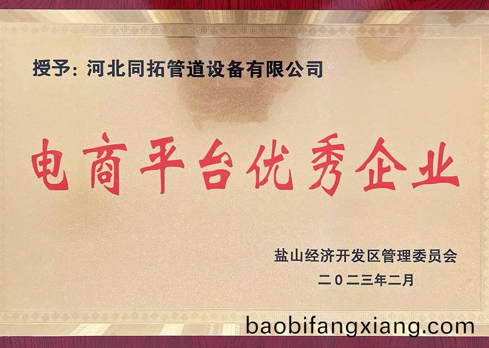 电商平台优秀企业